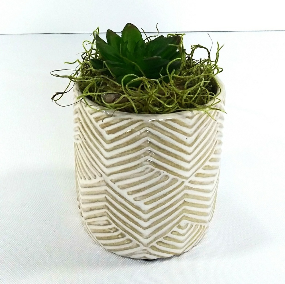 Costa Farms Ivory Basketweave 4" Ceramic Planter